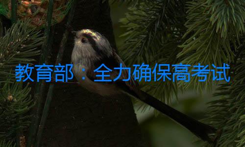 教育部：全力確保高考試題試卷安全，嚴格防范考場舞弊行為