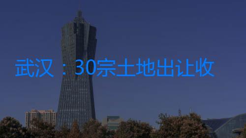 武漢：30宗土地出讓收金超210億元 多個地塊溢價成交