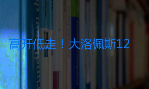 高開低走！大洛佩斯12中8拿下20分7板2助2斷2帽 下半場僅2分